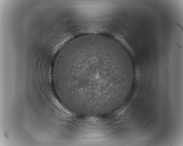 X0000100400585200806131015