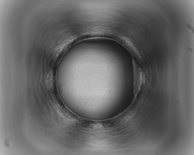 X0000100400588200806131015