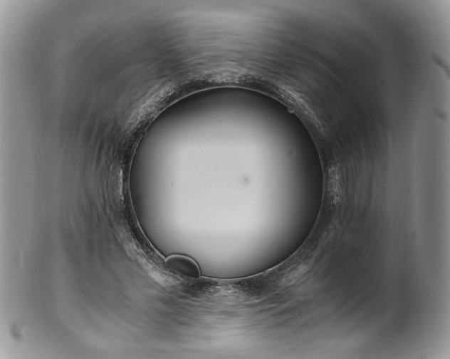 X0000100400589200806131015