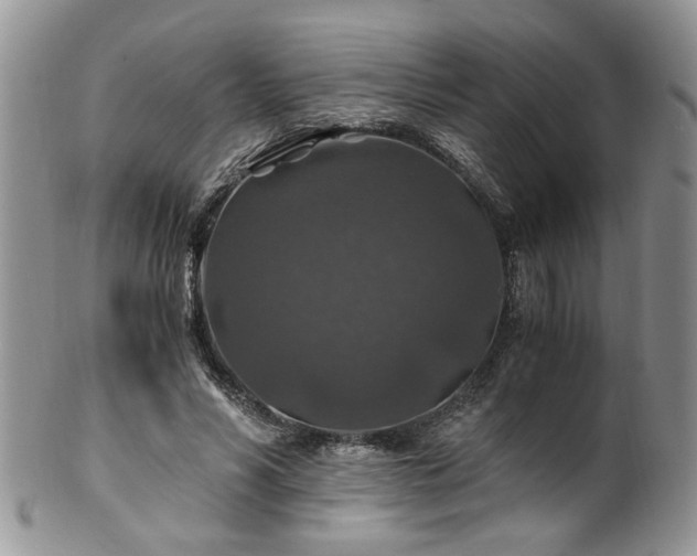 X0000100400590200806131015