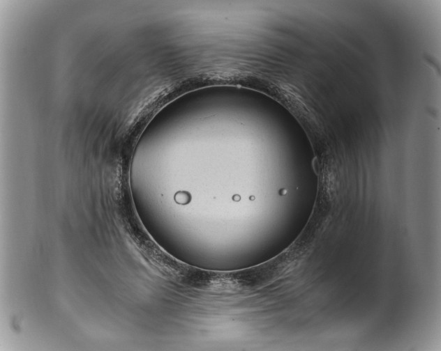 X0000100400591200806131015