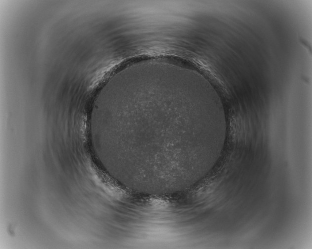 X0000100400592200806131015