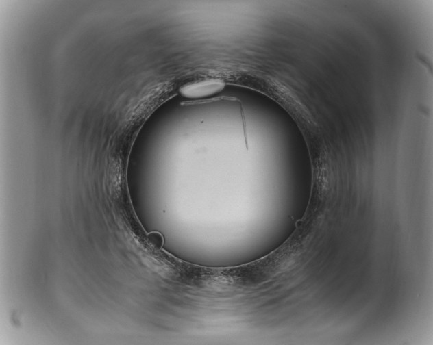 X0000100400593200806131015