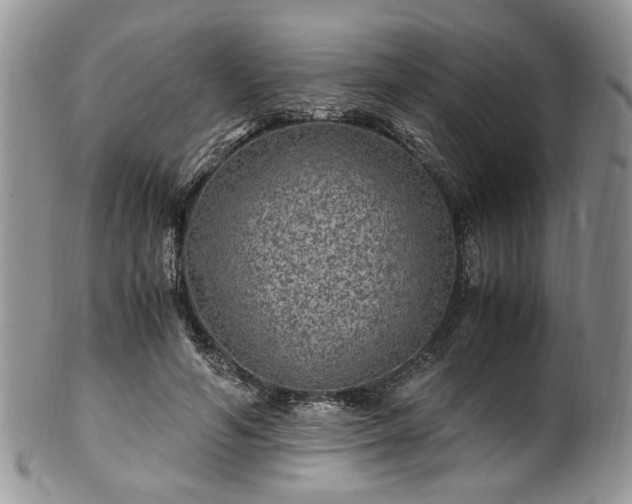 X0000100400594200806131015