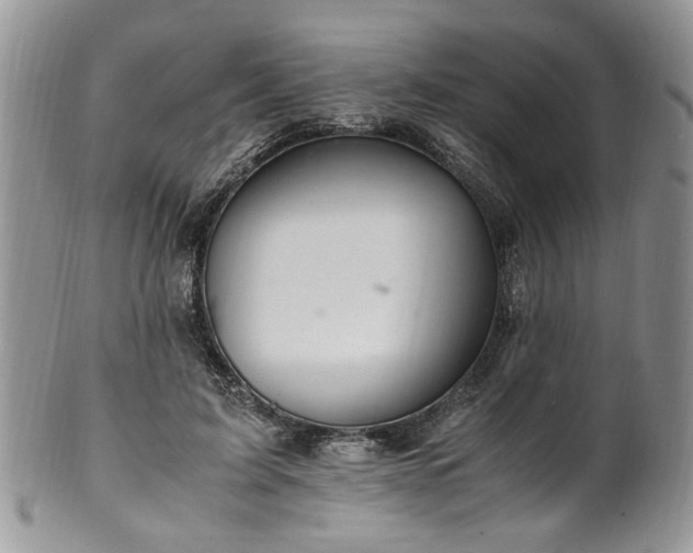 X0000100400595200806131015
