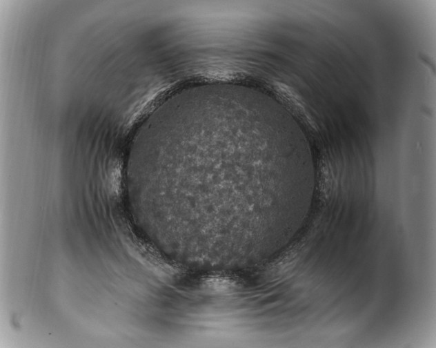 X0000100400596200806131015