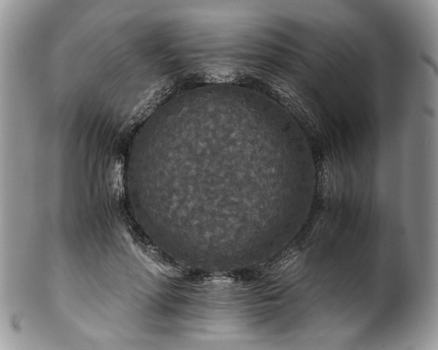 X0000100400598200806131015