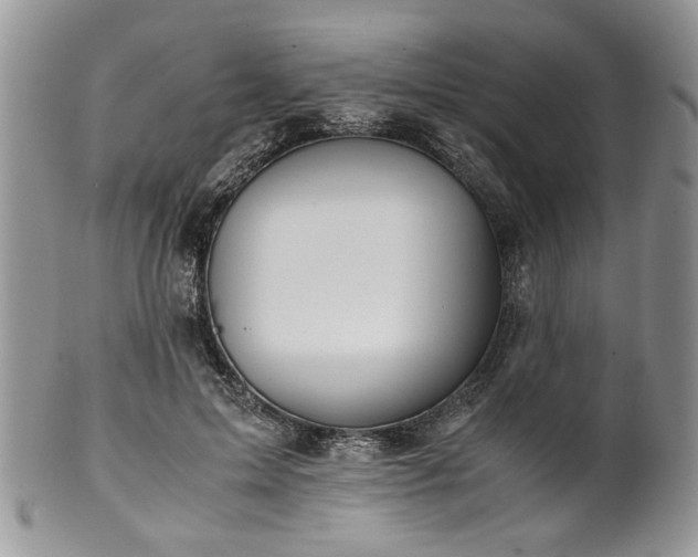 X0000100400599200806131015