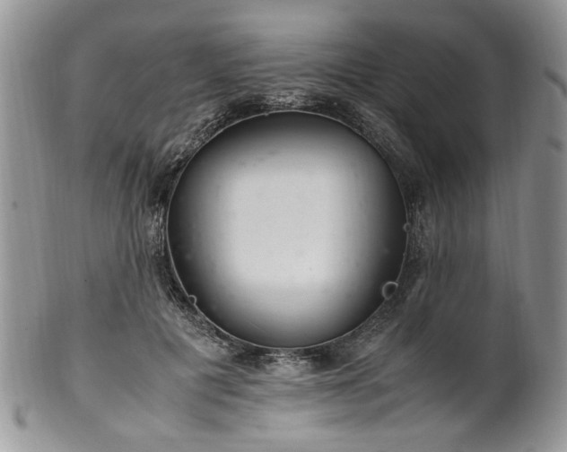 X0000100400601200806131015