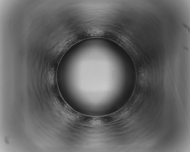 X0000100400604200806131015