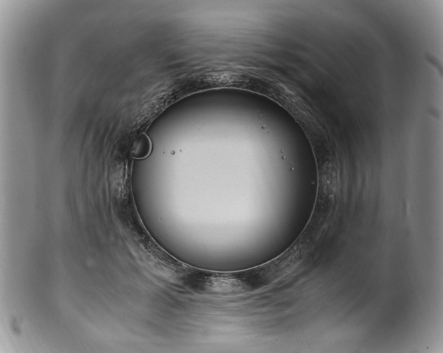 X0000100400605200806131015
