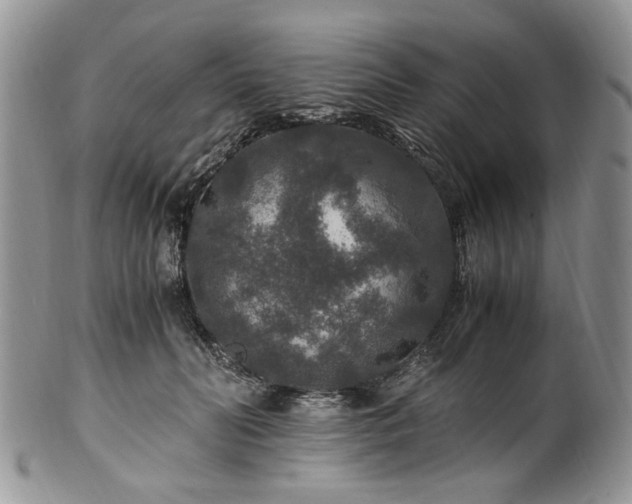 X0000100400606200806131015