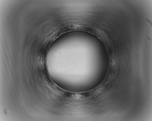 X0000100400607200806131015