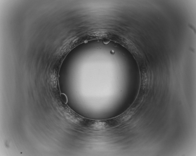 X0000100400609200806131015