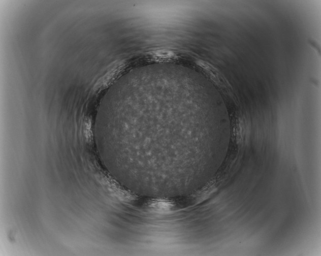 X0000100400610200806131015
