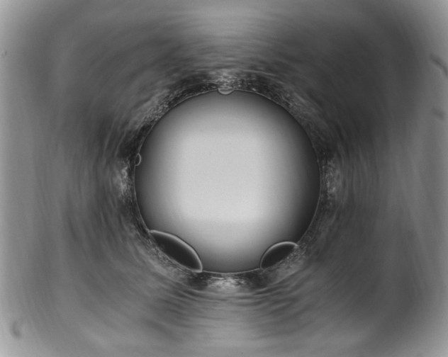 X0000100400611200806131015