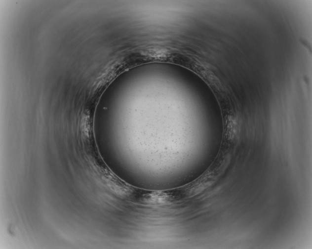 X0000100400612200806131015