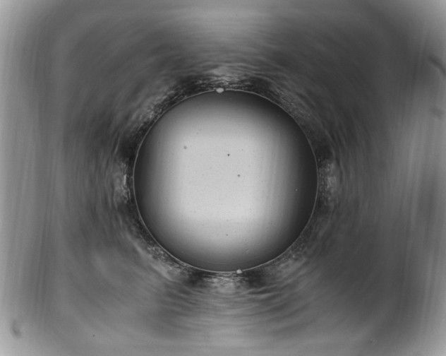 X0000100400615200806131015
