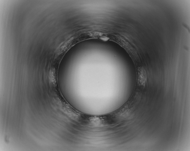 X0000100400616200806131015