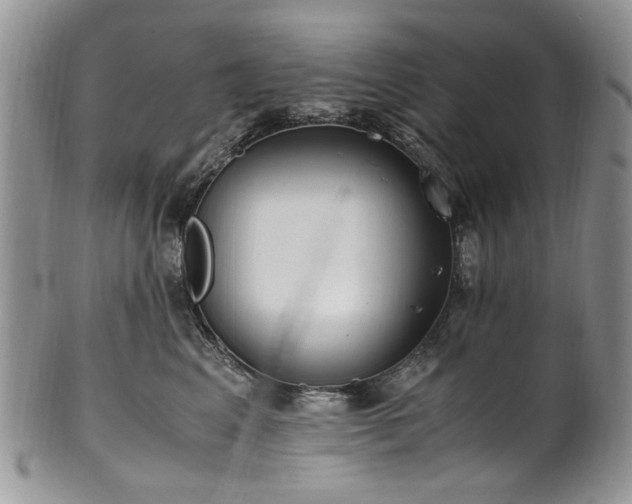 X0000100400617200806131015