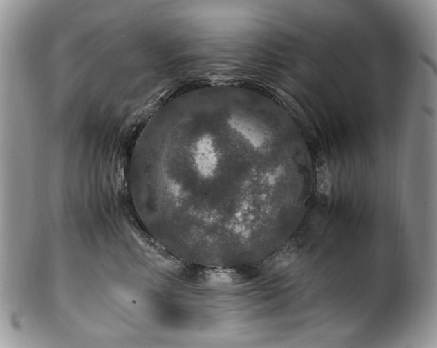 X0000100400618200806131015
