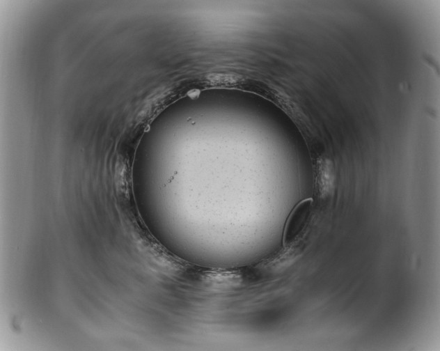 X0000100400619200806131015