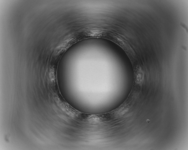 X0000100400620200806131015
