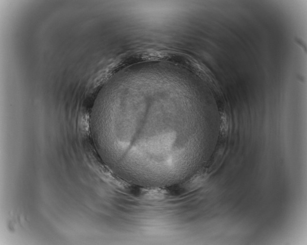 X0000100400621200806131015