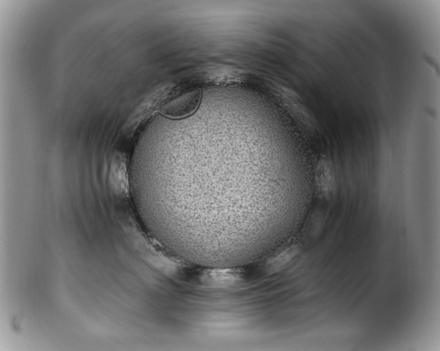 X0000100400622200806131015
