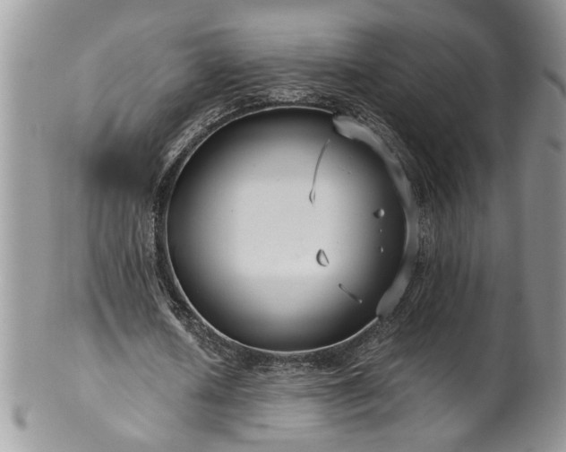 X0000100400626200806131014