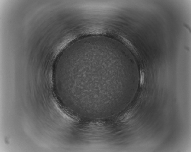 X0000100400627200806131014