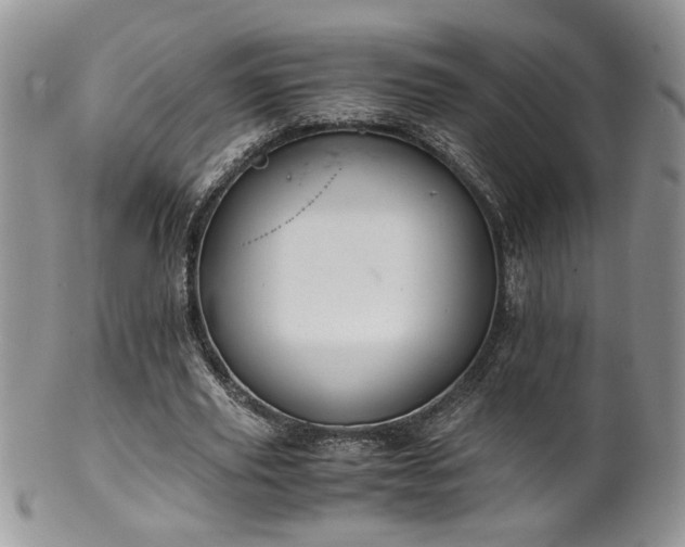 X0000100400629200806131014