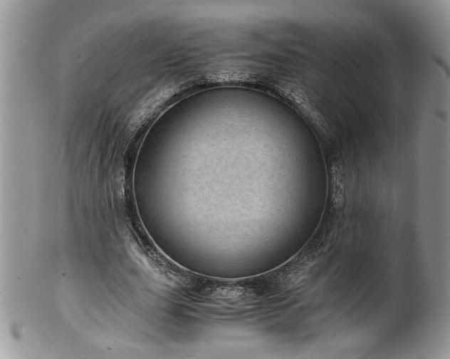 X0000100400631200806131014