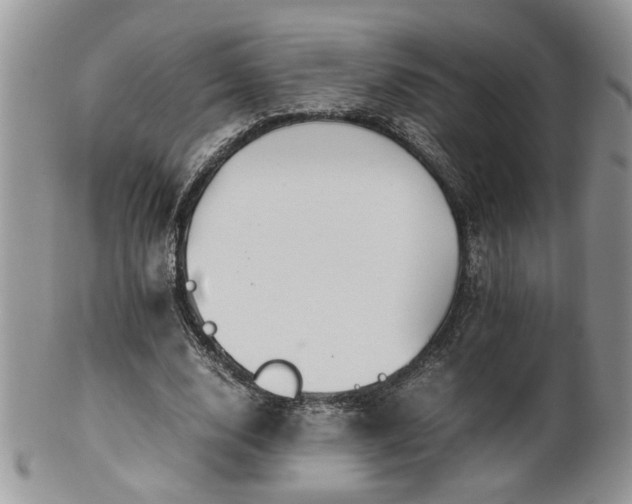 X0000100400632200806131014