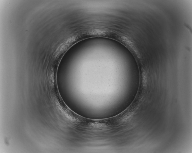 X0000100400633200806131014