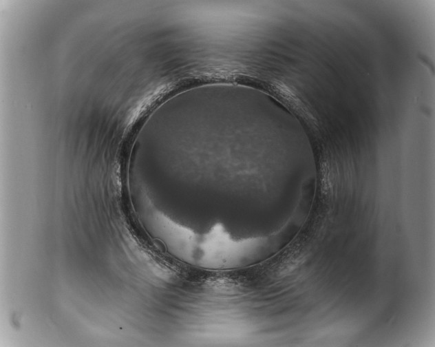 X0000100400634200806131014