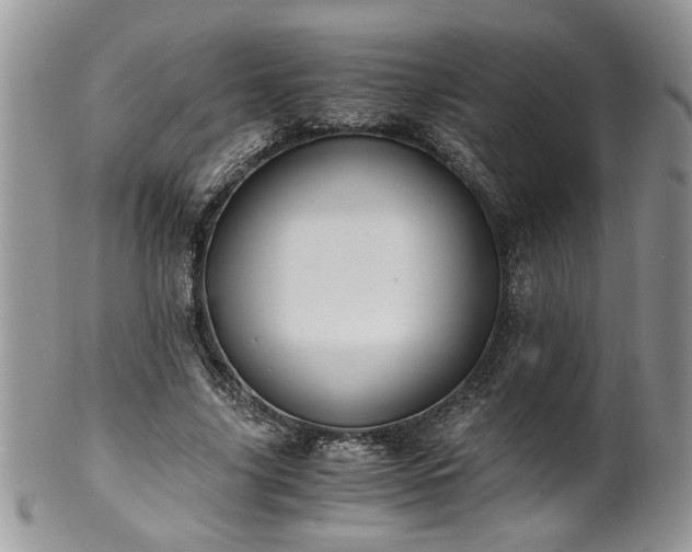 X0000100400635200806131014