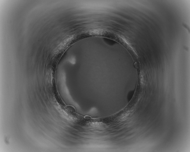 X0000100400637200806131014