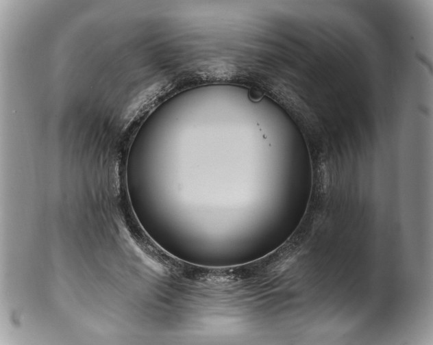 X0000100400638200806131014
