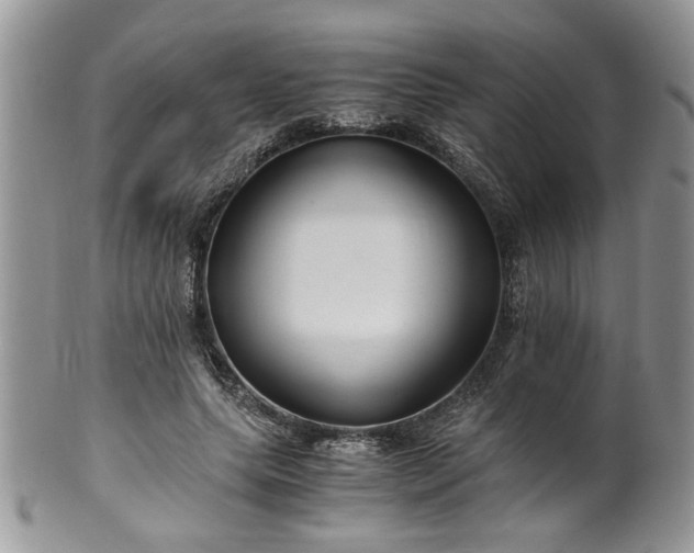 X0000100400639200806131014