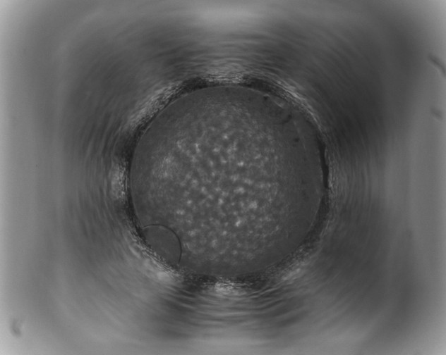 X0000100400641200806131014