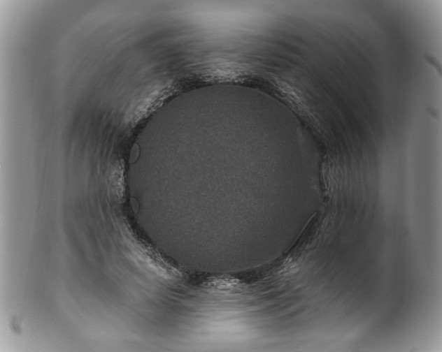 X0000100400642200806131014