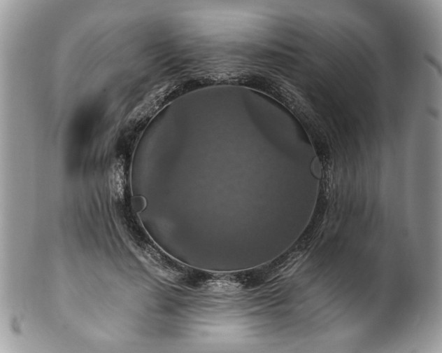 X0000100400644200806131014
