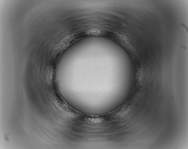 X0000100400645200806131014