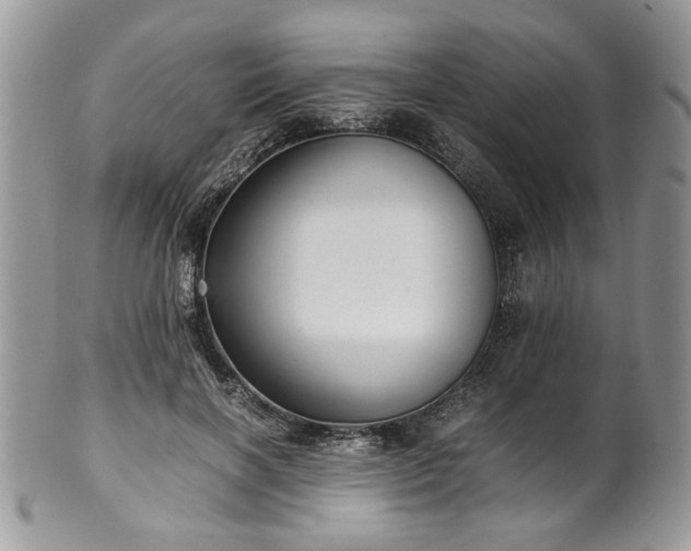 X0000100400646200806131014