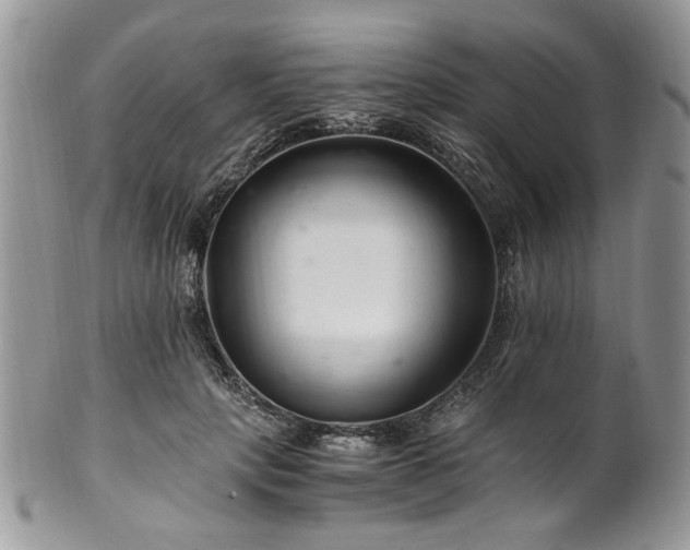 X0000100400649200806131014