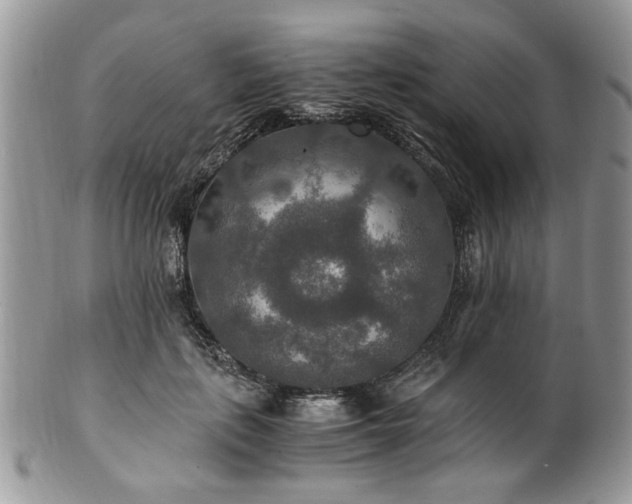 X0000100400651200806131014