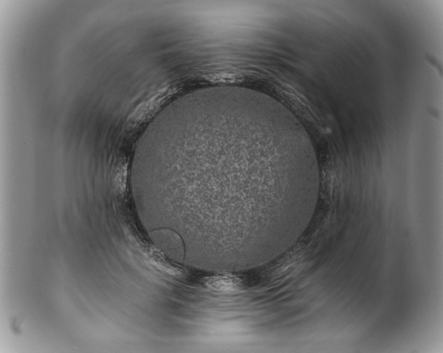 X0000100400652200806131014