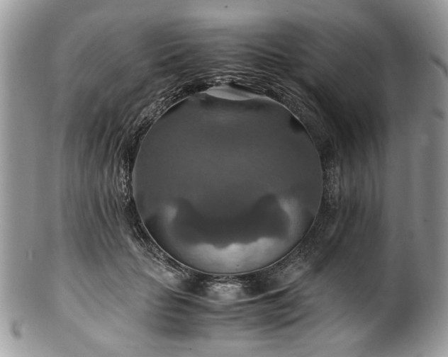 X0000100400653200806131014