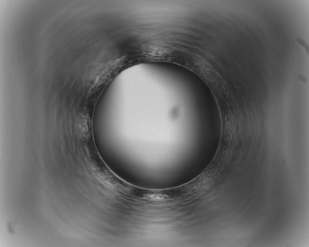 X0000100400654200806131014
